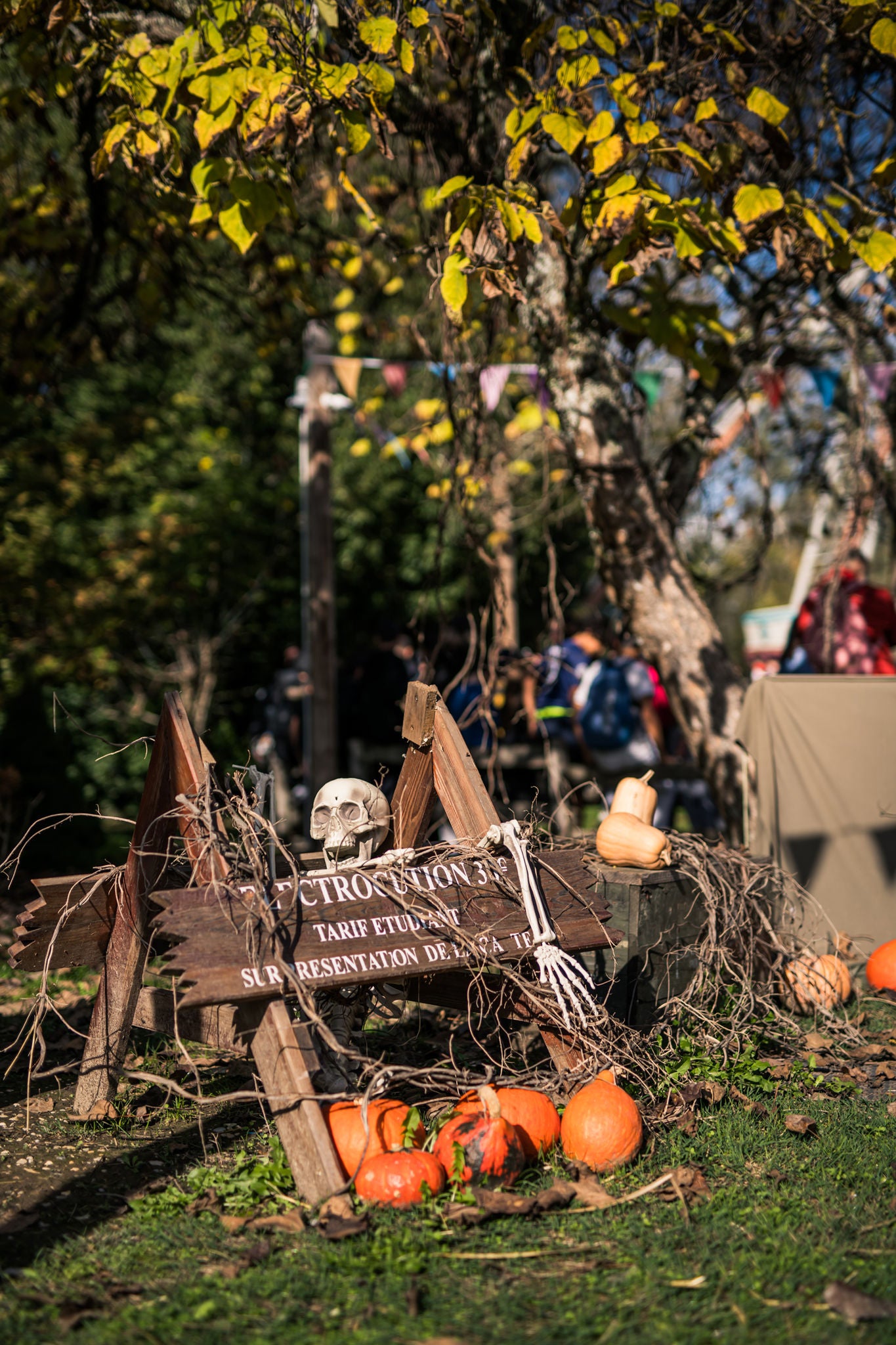 Halloween à Walibi Rhône-Alpes